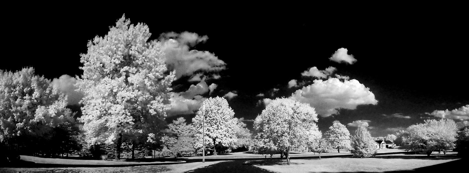 view in the front of our house done in infrared all color removed resulting a powerful black and white scene - Infrared in front of my house - Techno-Impressionist Museum - Techno-Impressionism - art - beautiful - photo photography picture - by Tony Karp
