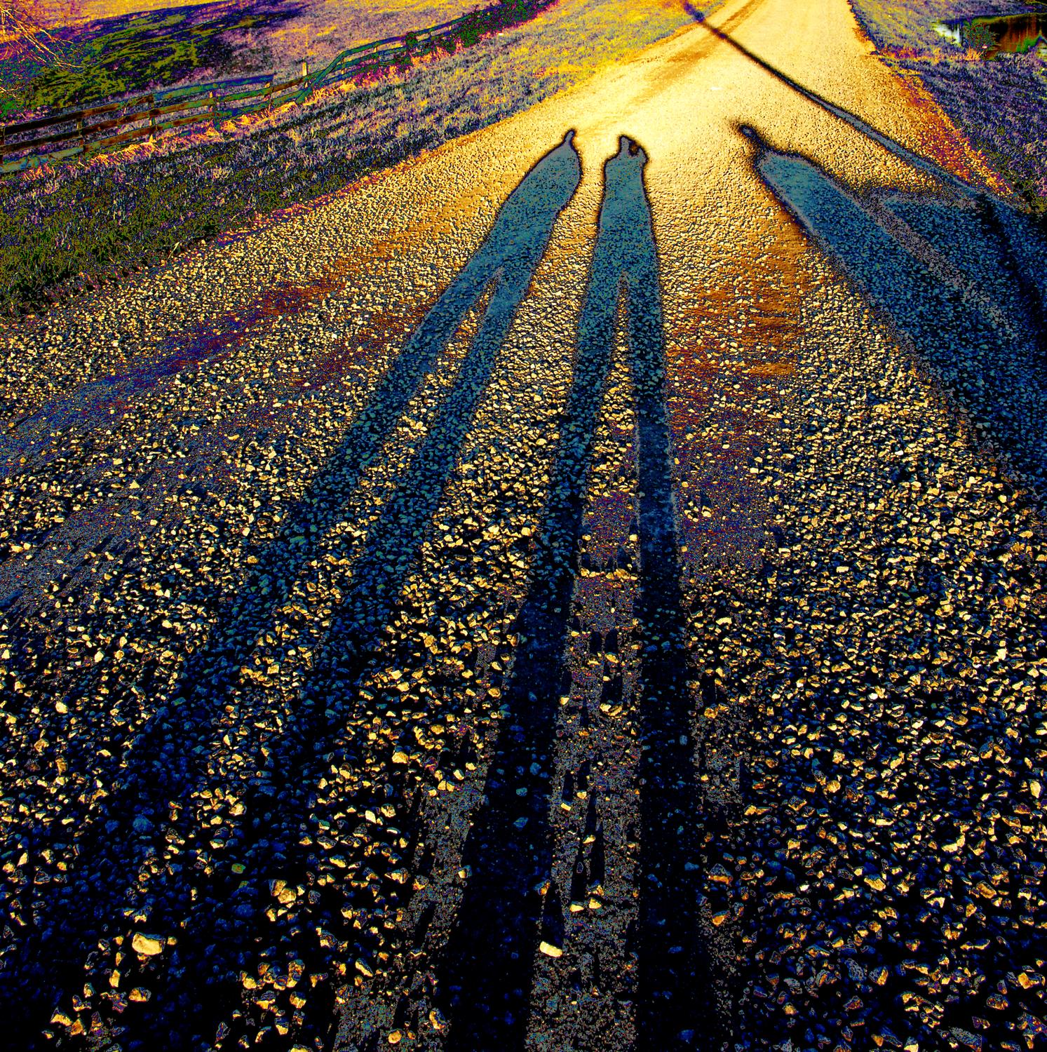 Best friends in a golden moment, by Tony Karp - Best friends # 3 - Techno-Impressionist Museum - Techno-Impressionism - art - beautiful - photo photography picture - by Tony Karp