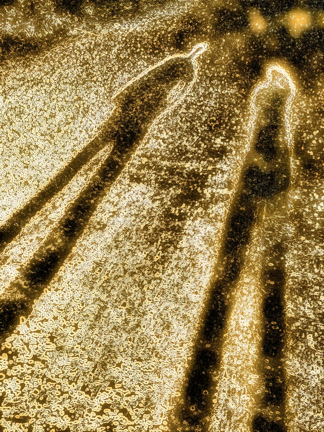 - Shadows of a friendship #2 - Techno-Impressionist Museum - Techno-Impressionism - art - beautiful - photo photography picture - by Tony Karp